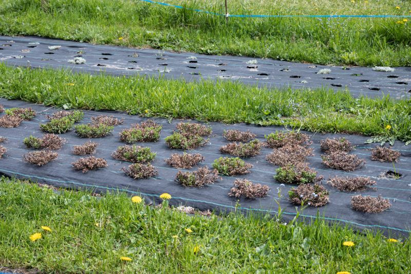 Mulch Fabric Installation