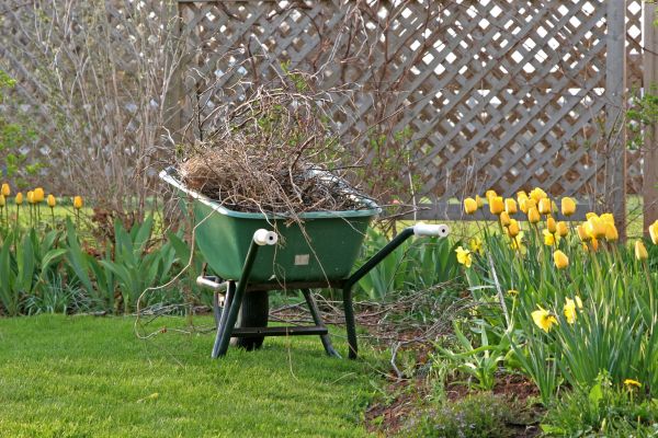 Flower Bed Cleanup Service in Canton
