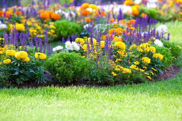 Flower Bed Maintenance in Canton