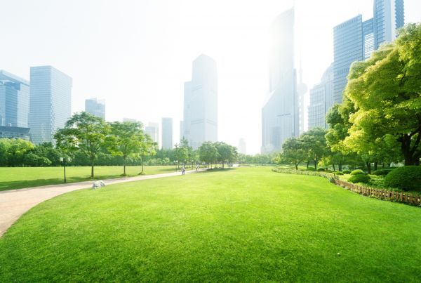 Commercial Landscape Maintenance in Canton
