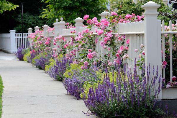 Garden Handyman Service in Canton