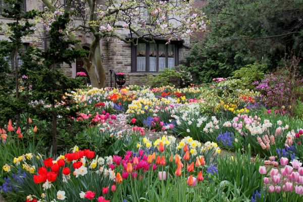 Garden Maintenance Service in Canton