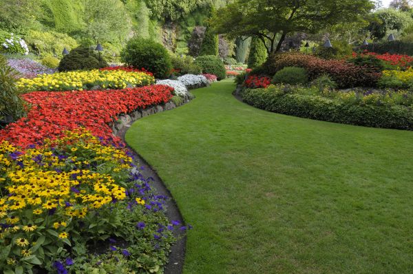Landscaping Maintenance in Canton