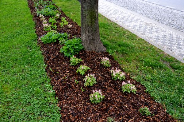 Mulch Replacement Service in Canton