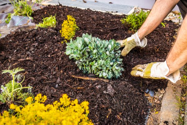 Weeding And Mulching in Canton