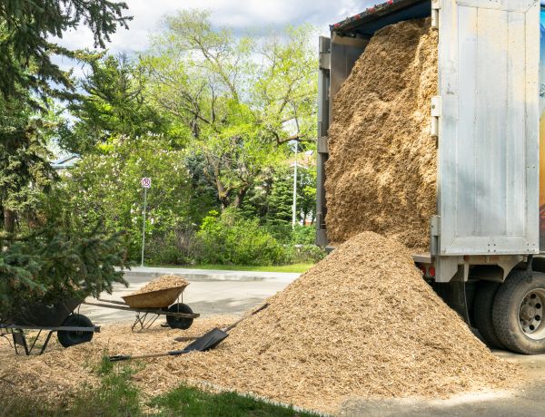 Wood Chips Delivery in Canton