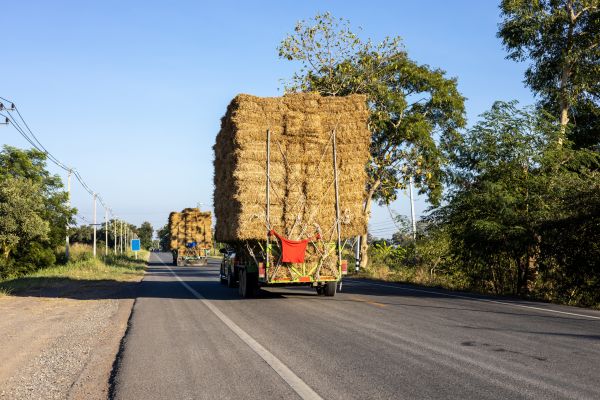 Pine Straw Delivery in Canton