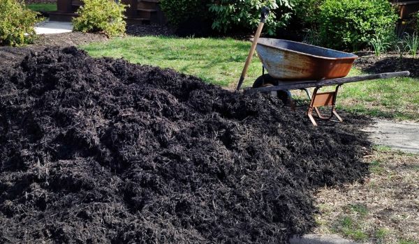 Black Mulch Delivery in Canton