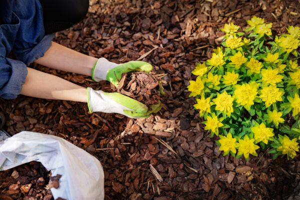 Garden Mulching in Canton