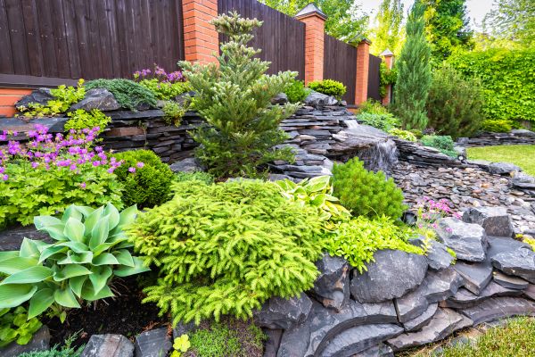 Landscape Remodeling in Canton