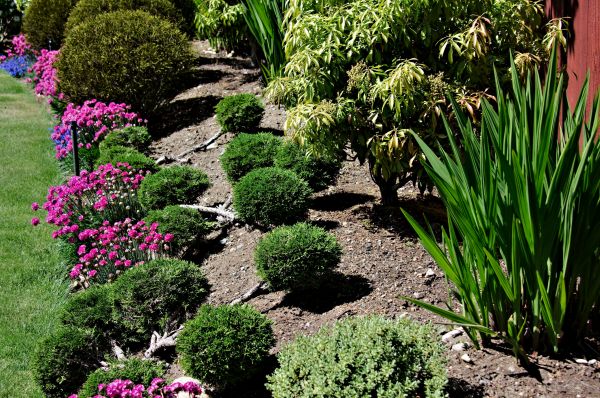 Residential Gardening in Canton