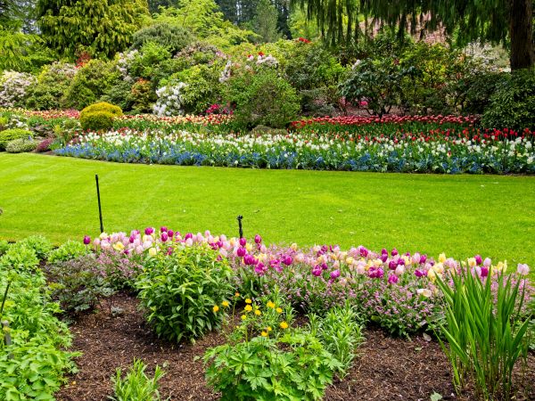 Residential Landscape Design in Canton