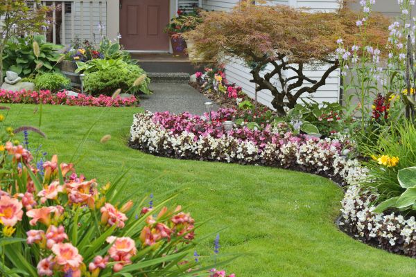 Perennial Landscaping in Canton