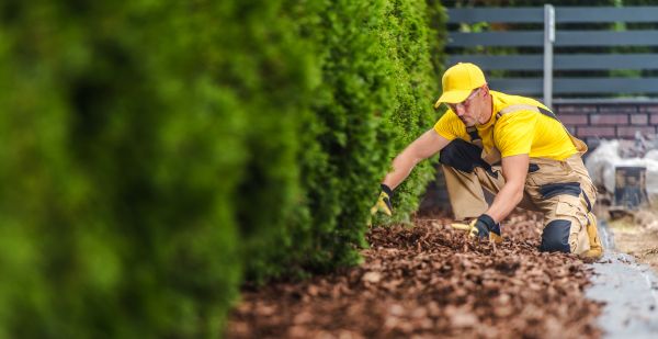 Cypress Mulch Installation in Canton