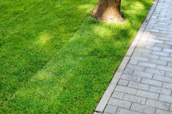 Border Stone Installation in Canton