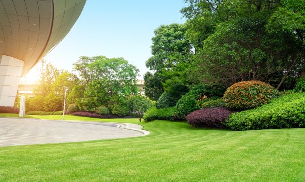 Business Landscape Design in Canton