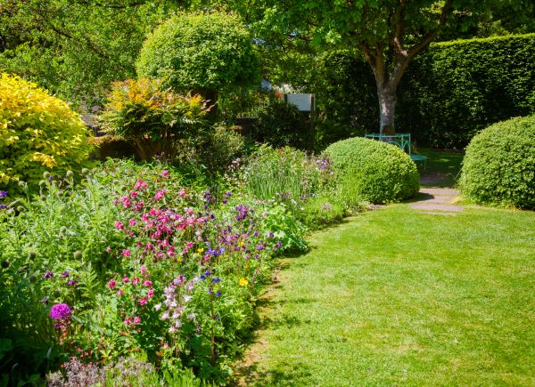 Yard Landscaping Service in Canton