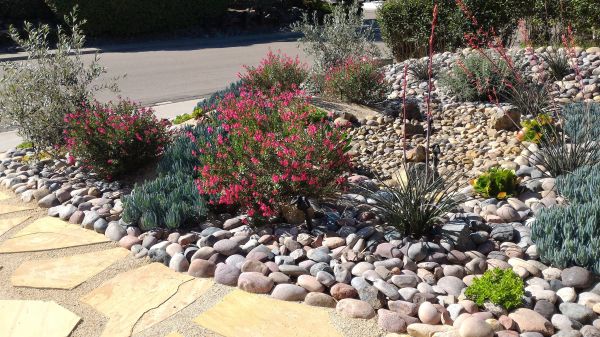 Xeriscape Landscaping in Canton