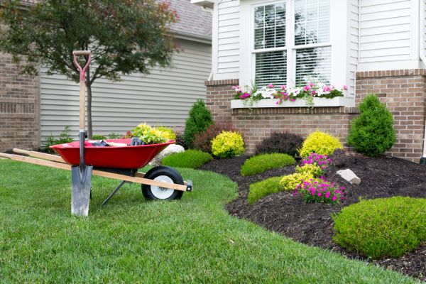 Tree And Shrub Planting in Canton