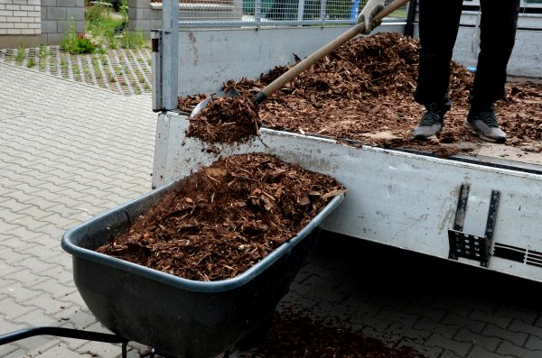 Landscape Mulch Delivery in Canton