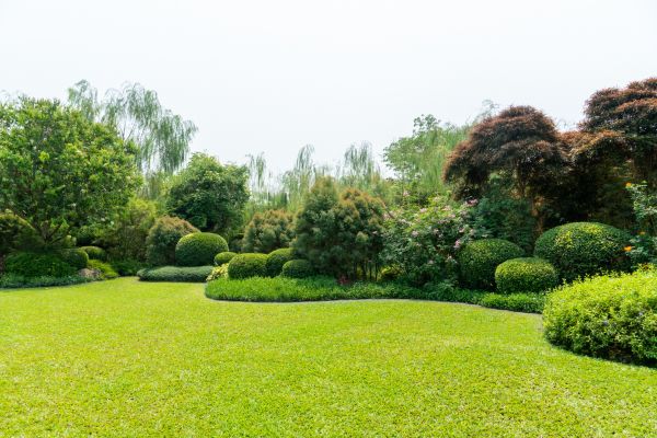 Tree Landscaping in Canton