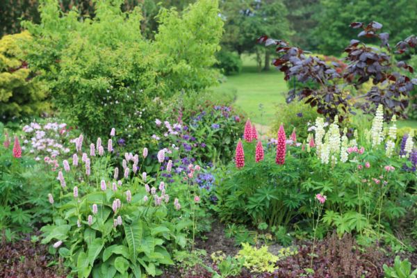 Flower Bed Planting in Canton