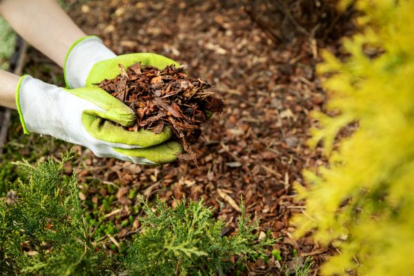 Garden Mulch Delivery in Canton