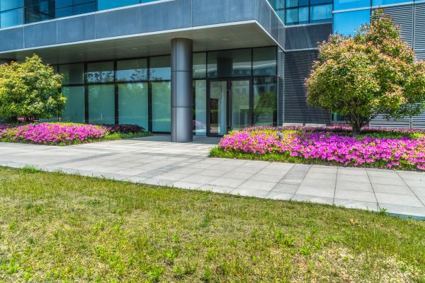 Commercial Gardening in Canton