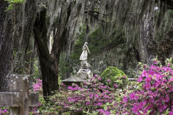 Cemetery Landscaping in Canton