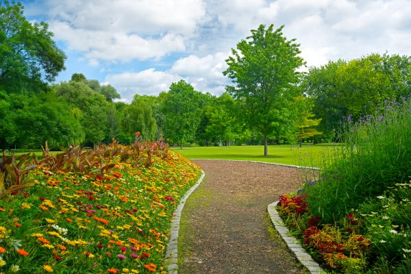 Park Landscaping in Canton