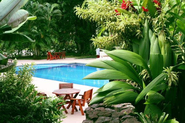 Tropical Garden Landscaping in Canton