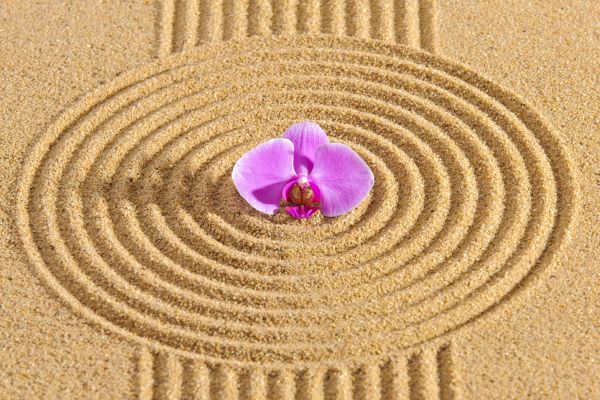 Sand Garden Landscaping in Canton