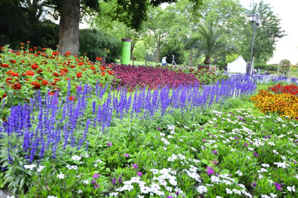 Perennials Planting in Canton
