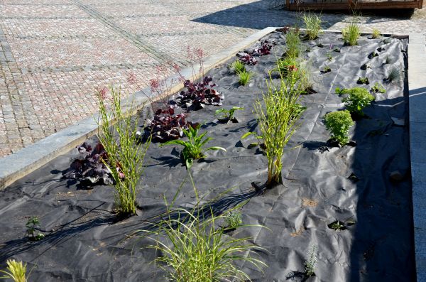 Landscape Fabric Installation in Canton