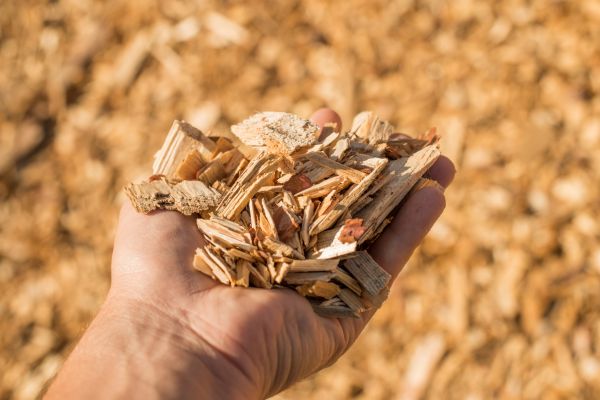 Wood Chips Spreading in Canton