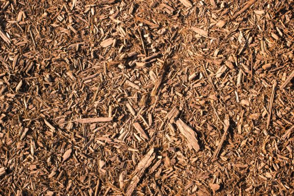 Wood Chips Removal in Canton