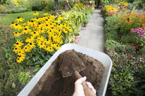 Topsoil Replacement in Canton