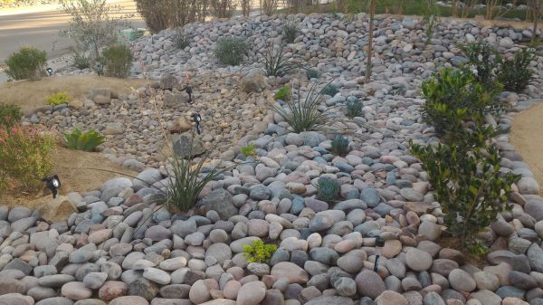Yard Xeriscaping in Canton