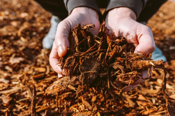 Bark Chips Delivery in Canton
