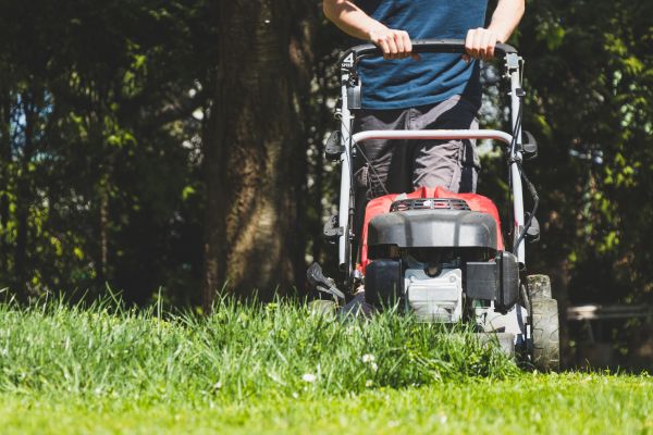 Garden Trimming Service in Canton