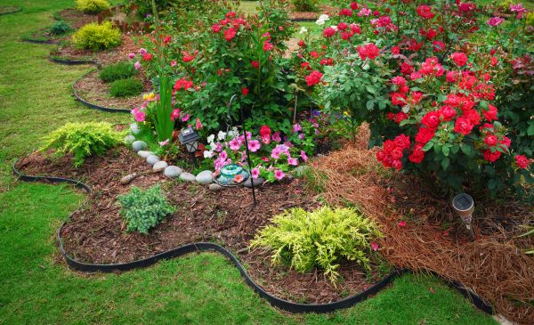 Floral Landscaping in Canton