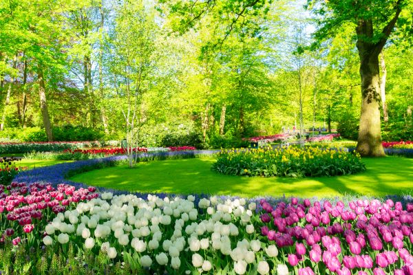 Flower Landscaping in Canton