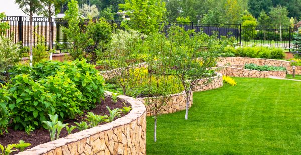 Yard Makeover Service in Canton