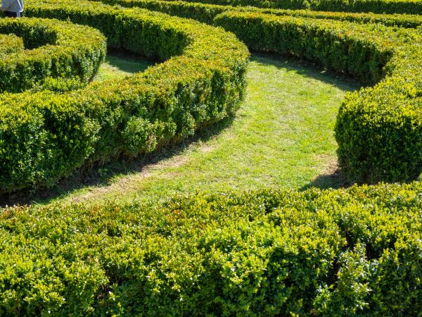 Bush Landscaping in Canton