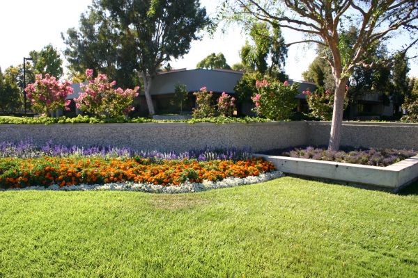 Commercial Landscape Service in Canton