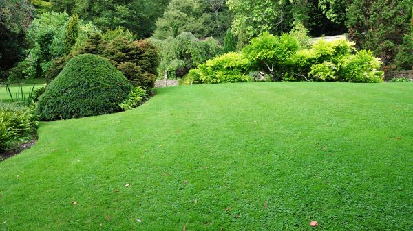 Commercial Landscape Design in Canton