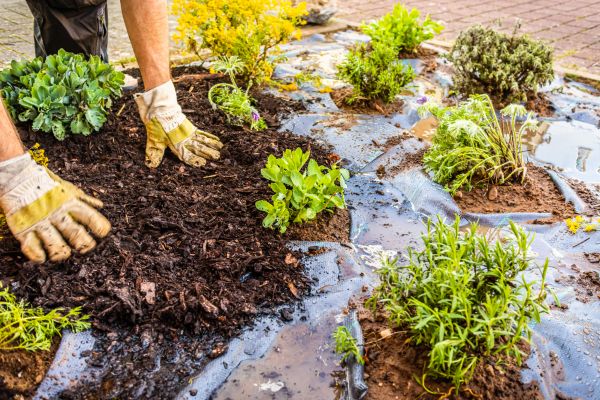 Mulch Fabric Installation in Canton