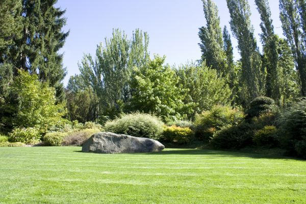 Yard Enlargement in Canton