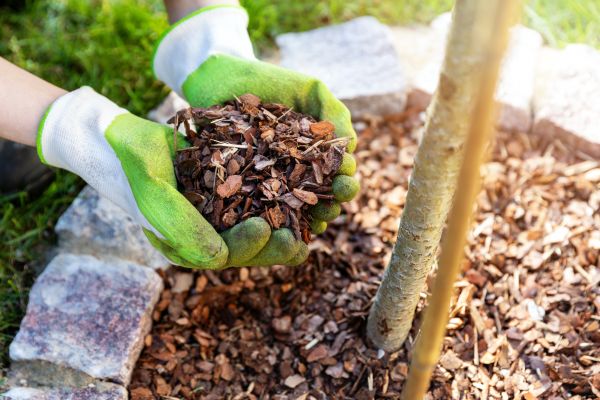 Tree Bark Delivery in Canton