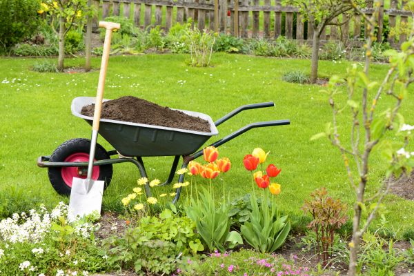 Spring Yard Renovation in Canton